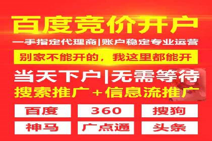 案例解析：百度推广排名提升的实战技巧